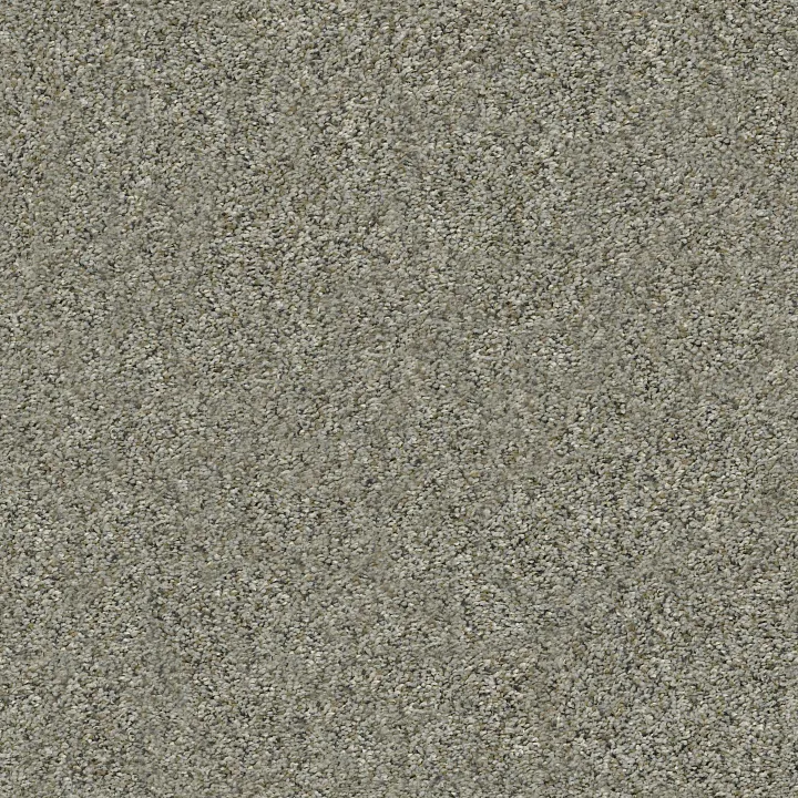 Shaw Floors All Set I — Beach Walk · E9874-00702 — flooring selection with LeviArs Design & Remodeling