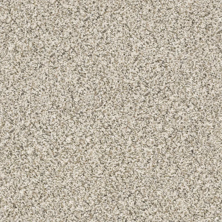 Shaw Floors All Set I — Goose Feather · E9874-00101 — flooring selection with LeviArs Design & Remodeling