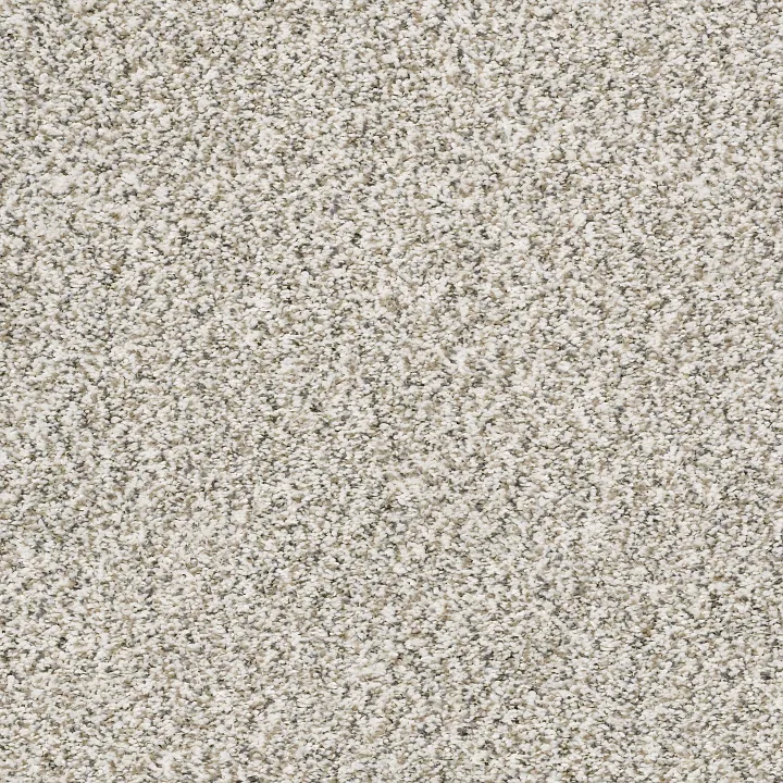 Shaw Floors All Set I — Quartz · E9874-00100 — flooring selection with LeviArs Design & Remodeling