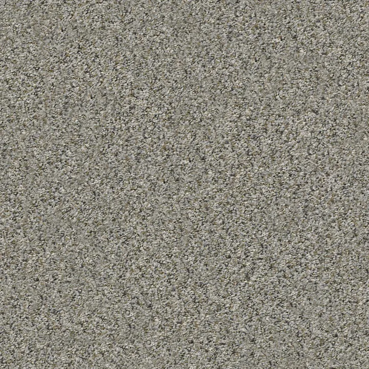 Shaw Floors All Set I — Rhino · E9874-00501 — flooring selection with LeviArs Design & Remodeling