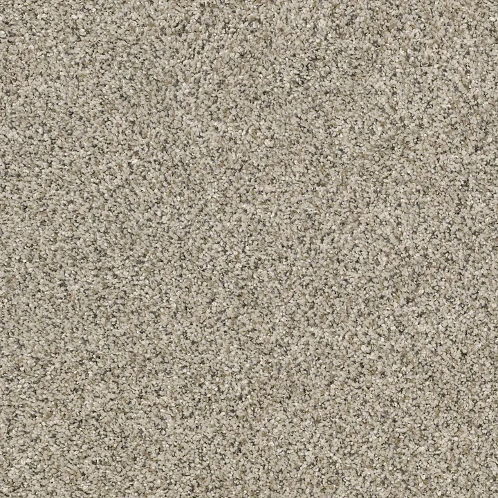 Shaw Floors All Set I — River Rock · E9874-00701 — flooring selection with LeviArs Design & Remodeling