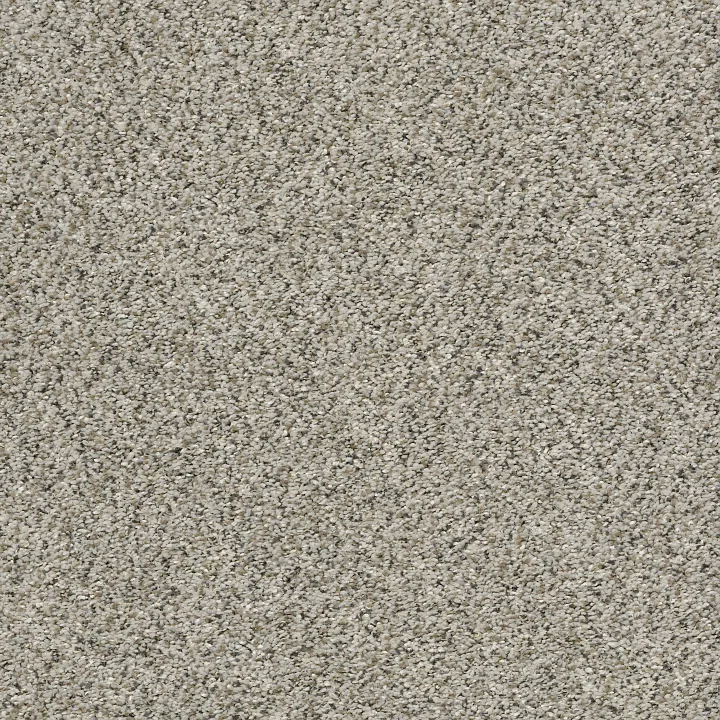 Shaw Floors All Set I — Silversmith · E9874-00700 — flooring selection with LeviArs Design & Remodeling
