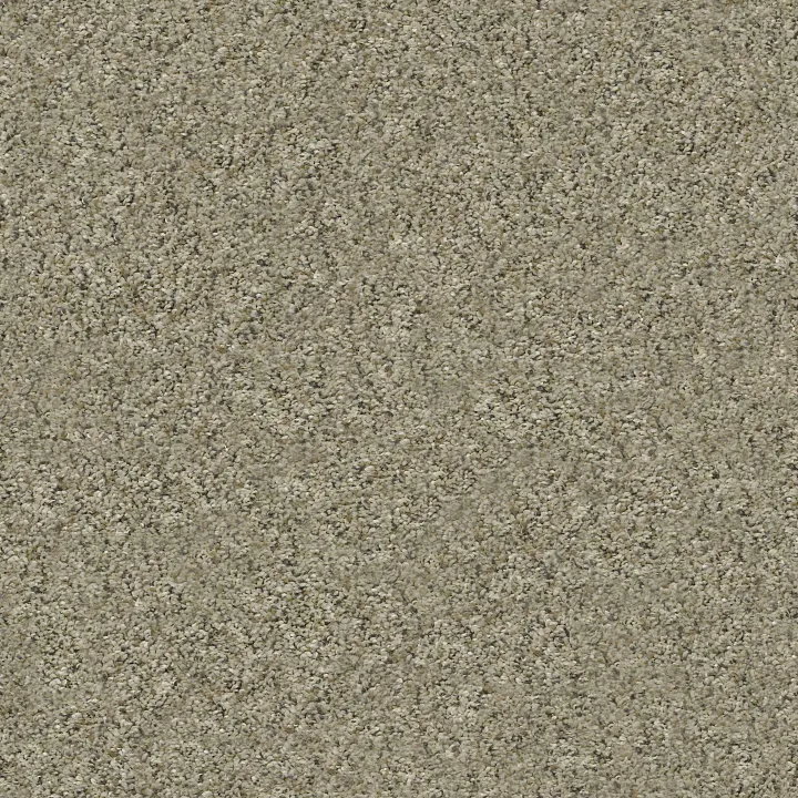 Shaw Floors All Set I — Tree House · E9874-00703 — flooring selection with LeviArs Design & Remodeling