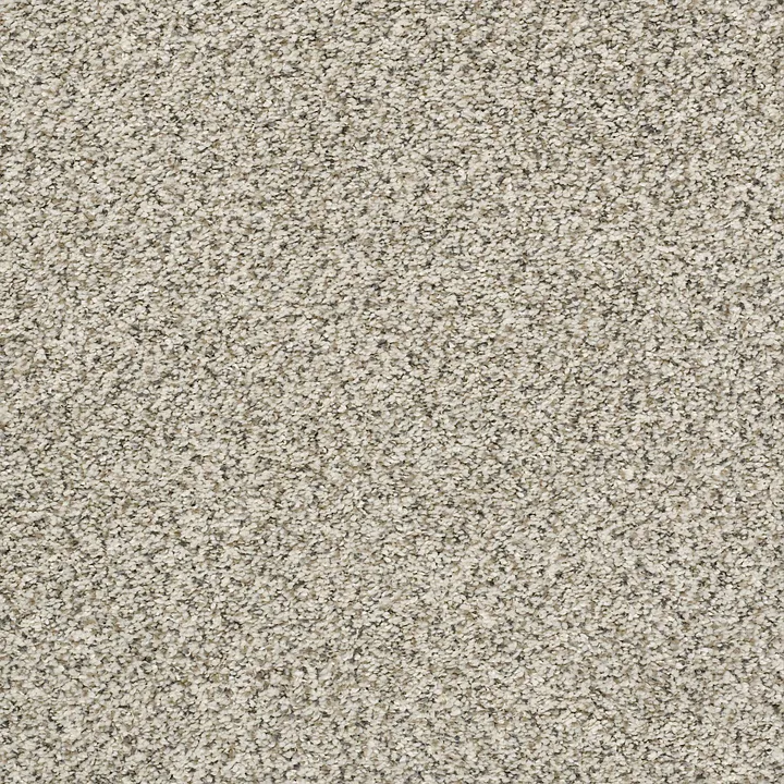 Shaw Floors All Set II — Atlantic Sand · E9875-00102 — flooring selection with LeviArs Design & Remodeling