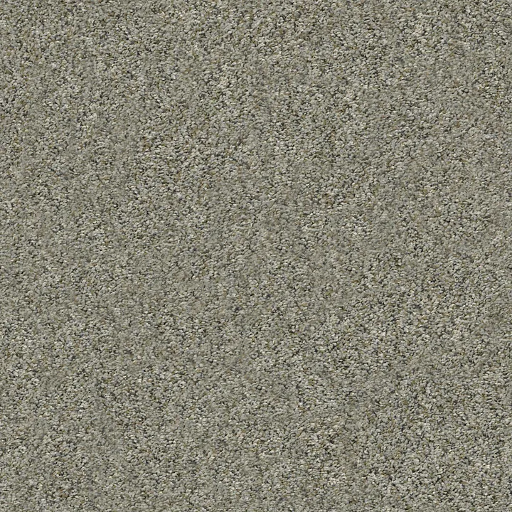 Shaw Floors All Set II — Beach Walk · E9875-00702 — flooring selection with LeviArs Design & Remodeling