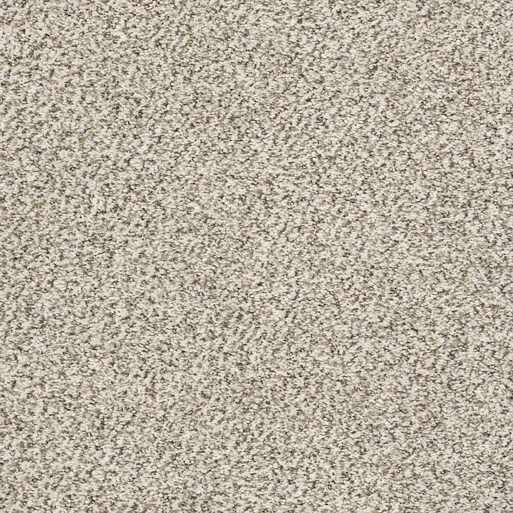 Shaw Floors All Set II — Goose Feather · E9875-00101 — flooring selection with LeviArs Design & Remodeling