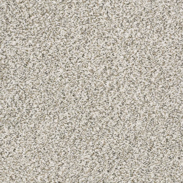 Shaw Floors All Set II — Quartz · E9875-00100 — flooring selection with LeviArs Design & Remodeling