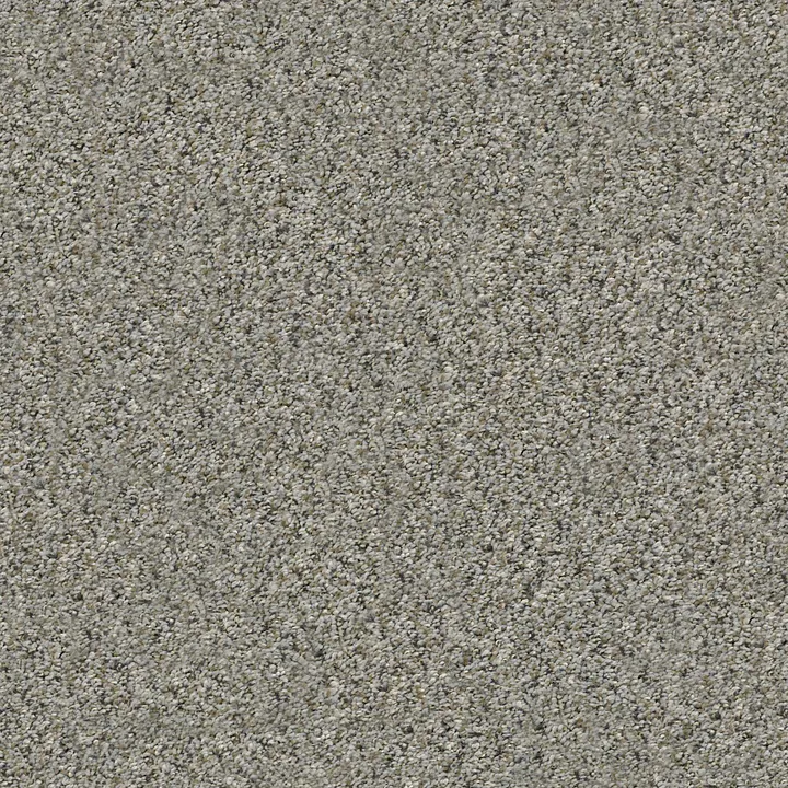 Shaw Floors All Set II — Rhino · E9875-00501 — flooring selection with LeviArs Design & Remodeling