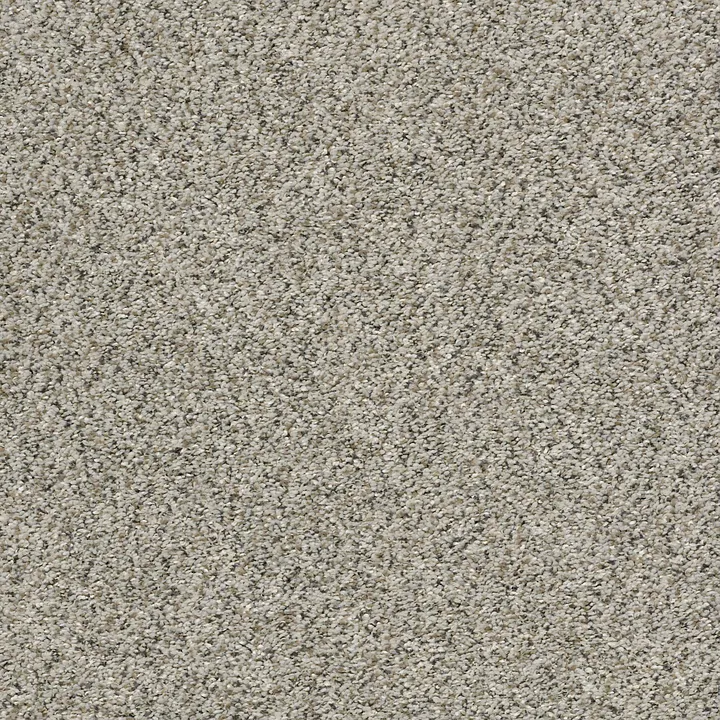 Shaw Floors All Set II — Silversmith · E9875-00700 — flooring selection with LeviArs Design & Remodeling