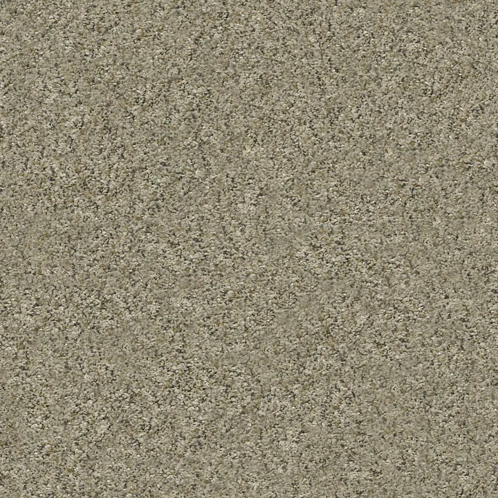 Shaw Floors All Set II — Tree House · E9875-00703 — flooring selection with LeviArs Design & Remodeling