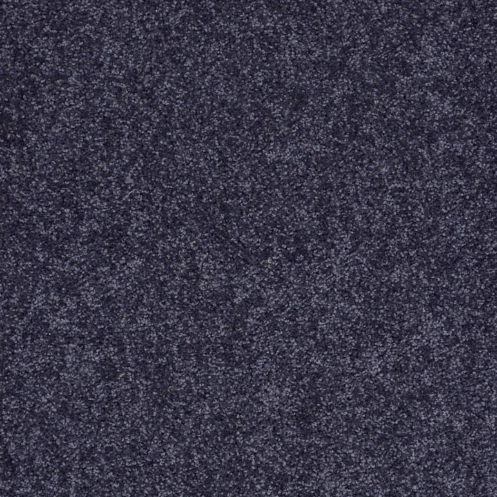 Shaw Floors All Star Weekend I 15' — Denim · E0141-00410 — flooring selection with LeviArs Design & Remodeling