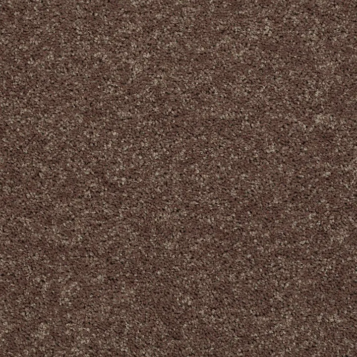 Shaw Floors Drexel Hill III 12' — Cattail · EA055-00702 — flooring selection with LeviArs Design & Remodeling