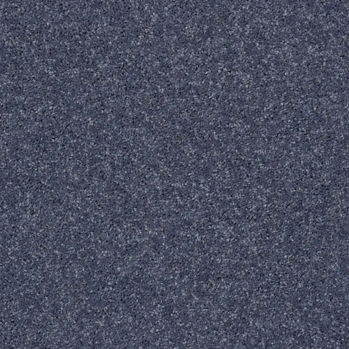Shaw Floors Point Guard 15' — Charcoal · Q4885-00545 — flooring selection with LeviArs Design & Remodeling