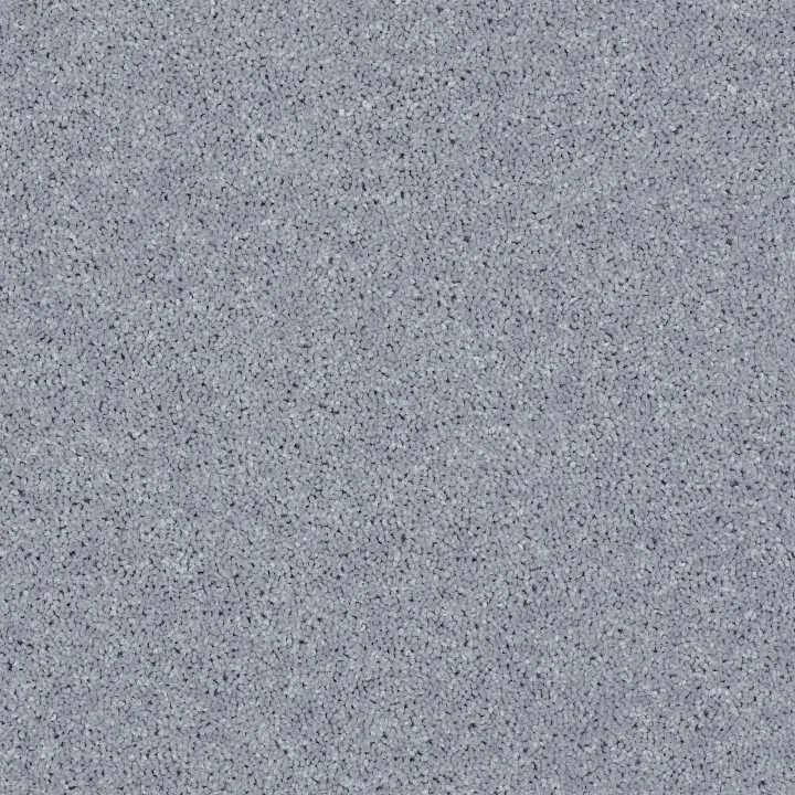 Shaw Floors Point Guard 15' — Dolphin · Q4885-00541 — flooring selection with LeviArs Design & Remodeling