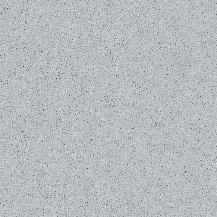Shaw Floors All Star Weekend II 15' — Dove · E0142-00540 — flooring selection with LeviArs Design & Remodeling