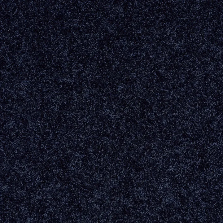 Shaw Floors All Star Weekend II 15' — Evening Sky · E0142-00403 — flooring selection with LeviArs Design & Remodeling