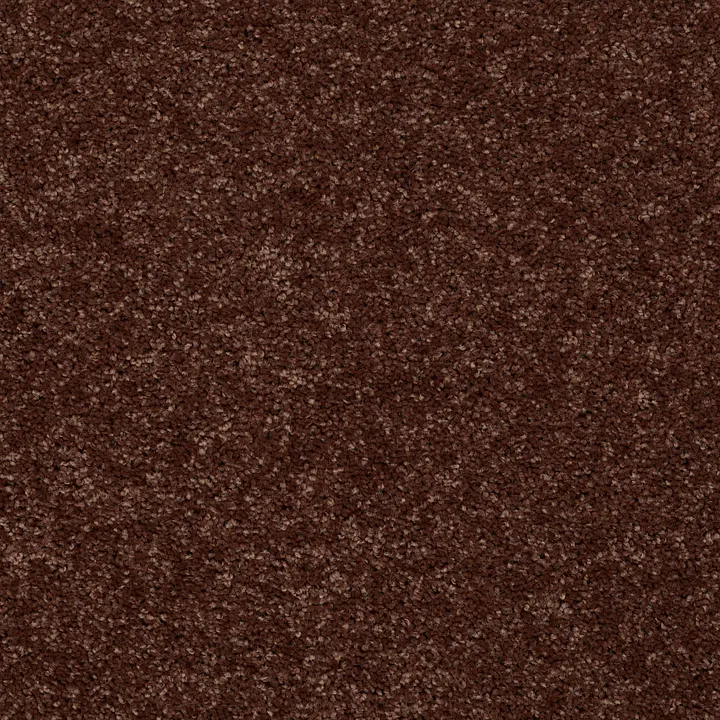 Shaw Floors Point Guard 15' — Flower Pot · Q4885-00610 — flooring selection with LeviArs Design & Remodeling