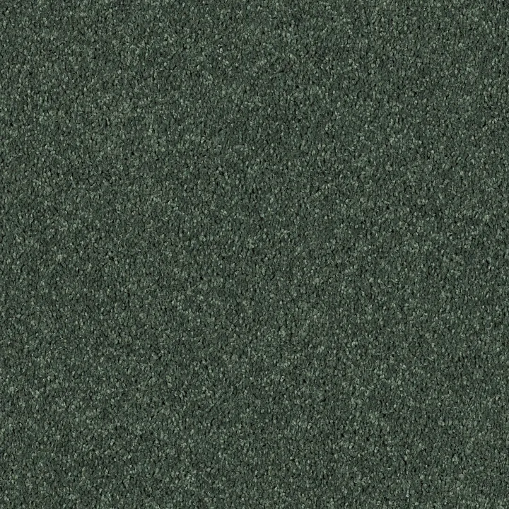 Shaw Floors All Star Weekend II 15' — Going Green · E0142-00340 — flooring selection with LeviArs Design & Remodeling