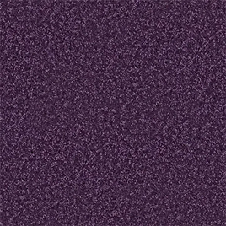 Shaw Floors Point Guard 15' — Grape Slushy · Q4885-00931 — flooring selection with LeviArs Design & Remodeling
