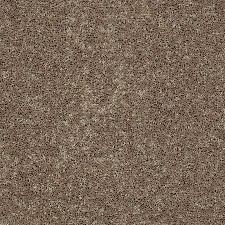 Shaw Floors Briceville Classic 15 — Hearth Stone · E0952-00700 — flooring selection with LeviArs Design & Remodeling