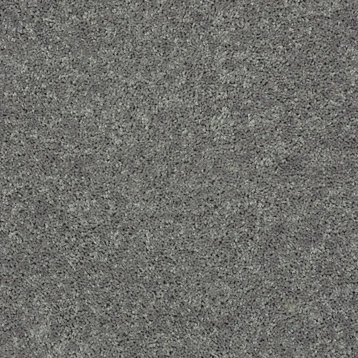 Shaw Floors All Star Weekend II 15' — Ink Spot · E0142-00501 — flooring selection with LeviArs Design & Remodeling