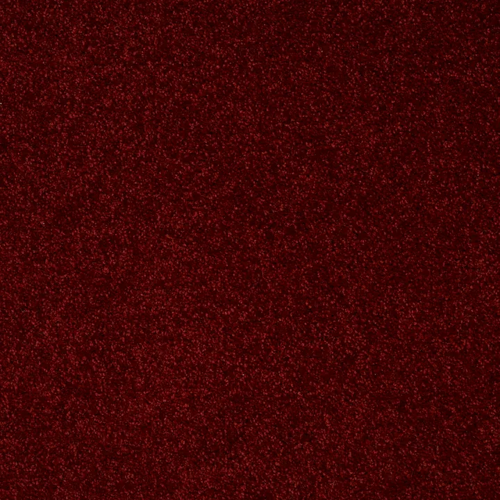 Shaw Floors Point Guard 15' — Red Wine · Q4885-00801 — flooring selection with LeviArs Design & Remodeling