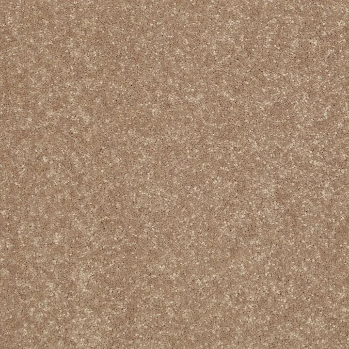 Shaw Floors All Star Weekend II 15' — Tassel · E0142-00107 — flooring selection with LeviArs Design & Remodeling