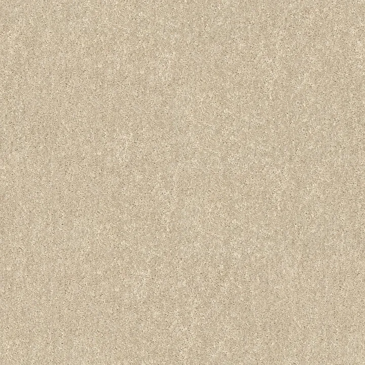 Shaw Floors Drexel Hill III 12' — Angel Cloud · EA055-00102 — flooring selection with LeviArs Design & Remodeling