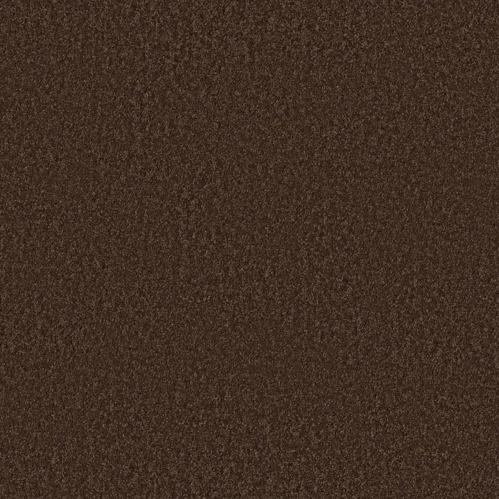 Shaw Floors All Star Weekend III 15' — Coffee Bean · E0146-00705 — flooring selection with LeviArs Design & Remodeling