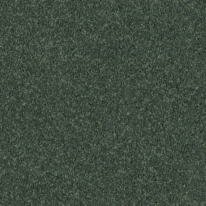Shaw Floors Drexel Hill III 12' — Going Green · EA055-00340 — flooring selection with LeviArs Design & Remodeling