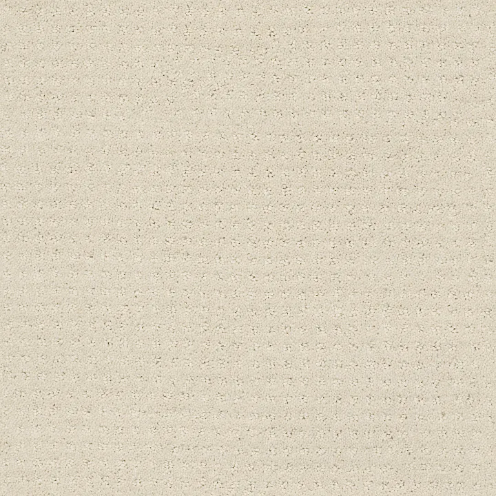Shaw Floors Alluring Disposition — Alabaster · E9724-00172 — flooring selection with LeviArs Design & Remodeling