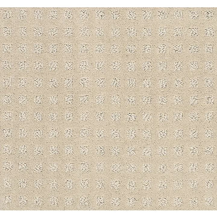 Shaw Floors Alluring Disposition — Barista · E9724-00191 — flooring selection with LeviArs Design & Remodeling
