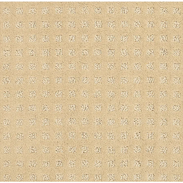 Shaw Floors Alluring Disposition — Golden Rule · E9724-00185 — flooring selection with LeviArs Design & Remodeling
