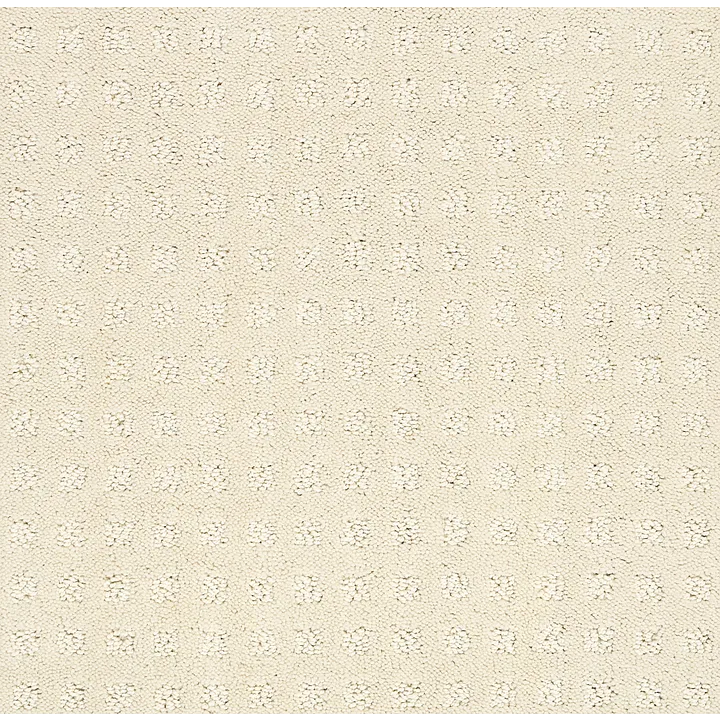 Shaw Floors Alluring Disposition — Ivory Paper · E9724-00180 — flooring selection with LeviArs Design & Remodeling