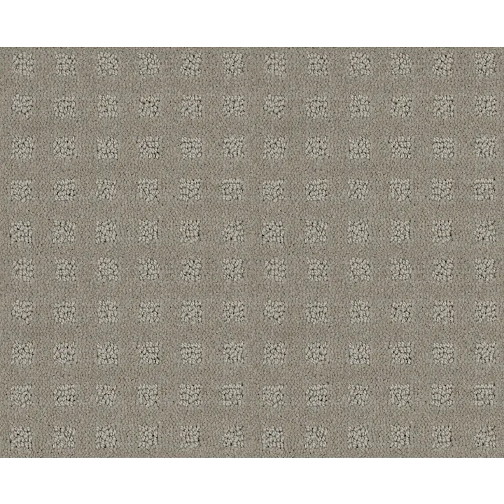 Shaw Floors Alluring Disposition — Lady In Gray · E9724-00590 — flooring selection with LeviArs Design & Remodeling