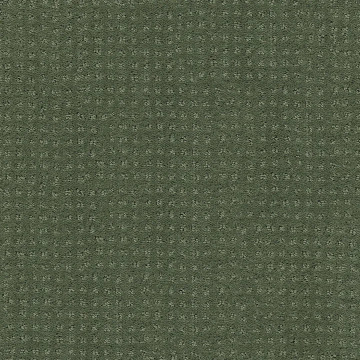 Shaw Floors Alluring Disposition — Lush Garden · E9724-00391 — flooring selection with LeviArs Design & Remodeling