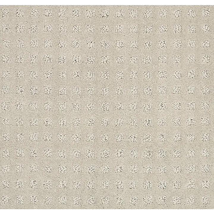 Shaw Floors Alluring Disposition — Mindful · E9724-00190 — flooring selection with LeviArs Design & Remodeling