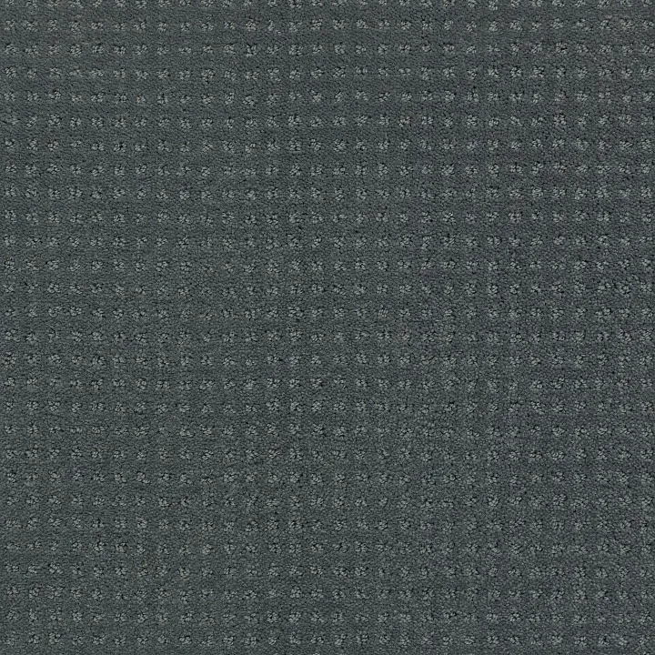 Shaw Floors Alluring Disposition — Night Club · E9724-00592 — flooring selection with LeviArs Design & Remodeling