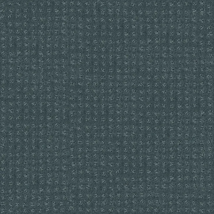 Shaw Floors Alluring Disposition — Oceanside · E9724-00493 — flooring selection with LeviArs Design & Remodeling