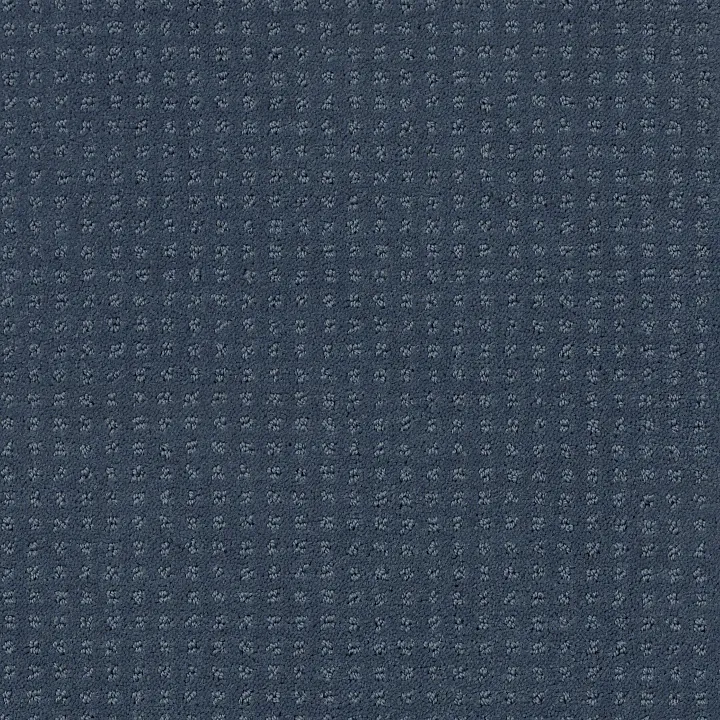 Shaw Floors Alluring Disposition — Royal Navy · E9724-00470 — flooring selection with LeviArs Design & Remodeling