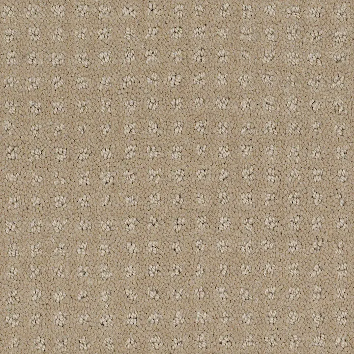 Shaw Floors Alluring Disposition — Safari · E9724-00188 — flooring selection with LeviArs Design & Remodeling
