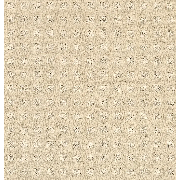 Shaw Floors Alluring Disposition — Shoreline · E9724-00183 — flooring selection with LeviArs Design & Remodeling
