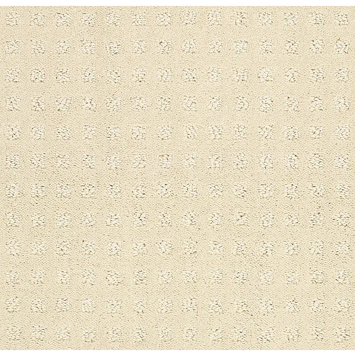 Shaw Floors Alluring Disposition — Treasure · E9724-00181 — flooring selection with LeviArs Design & Remodeling