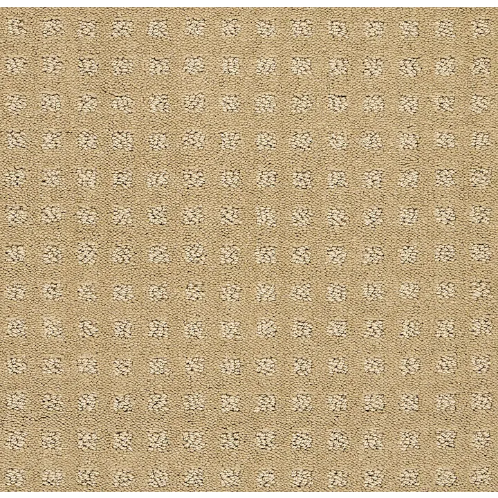 Shaw Floors Alluring Disposition — Warmth · E9724-00782 — flooring selection with LeviArs Design & Remodeling
