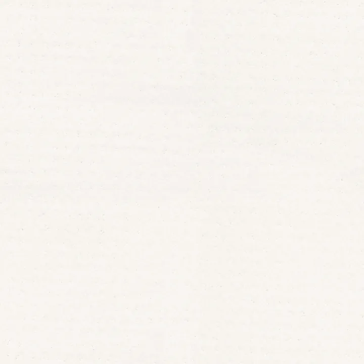 Shaw Floors Alluring Disposition — White Hot · E9724-00170 — flooring selection with LeviArs Design & Remodeling