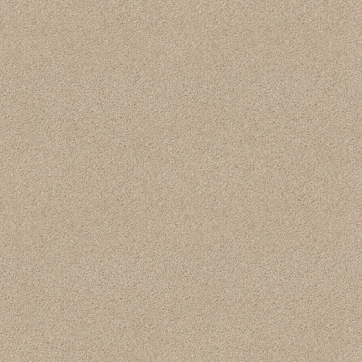 Shaw Floors Always Ready I — Boutique · E9717-00191 — flooring selection with LeviArs Design & Remodeling