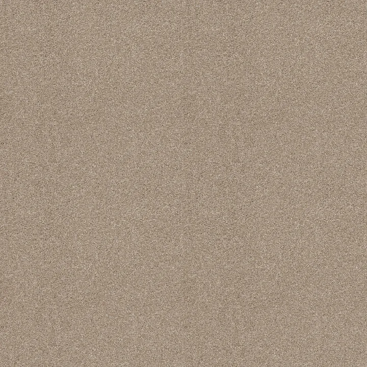 Shaw Floors Always Ready I — Park Place · E9717-00192 — flooring selection with LeviArs Design & Remodeling