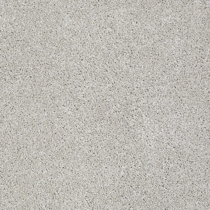 Shaw Floors Always Ready I — Realist · E9717-00196 — flooring selection with LeviArs Design & Remodeling