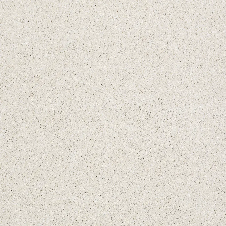Shaw Floors Always Ready I — Sentimental · E9717-00190 — flooring selection with LeviArs Design & Remodeling
