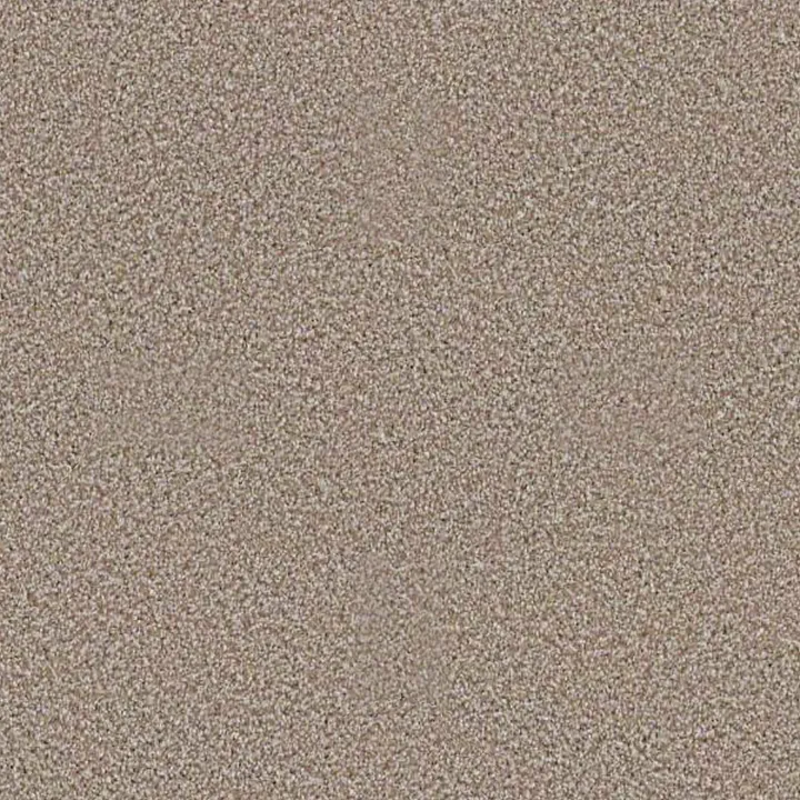 Shaw Floors Always Ready I — Summerville · E9717-00790 — flooring selection with LeviArs Design & Remodeling